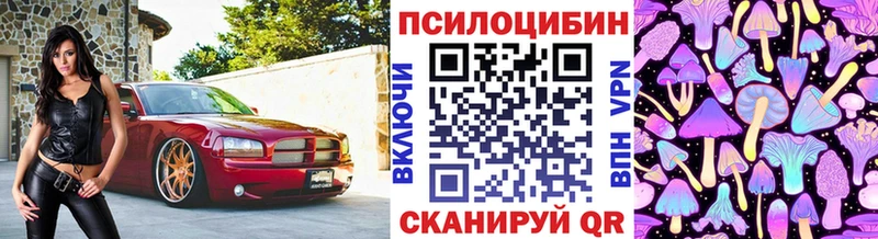 Псилоцибиновые грибы Cubensis Елизаветинская